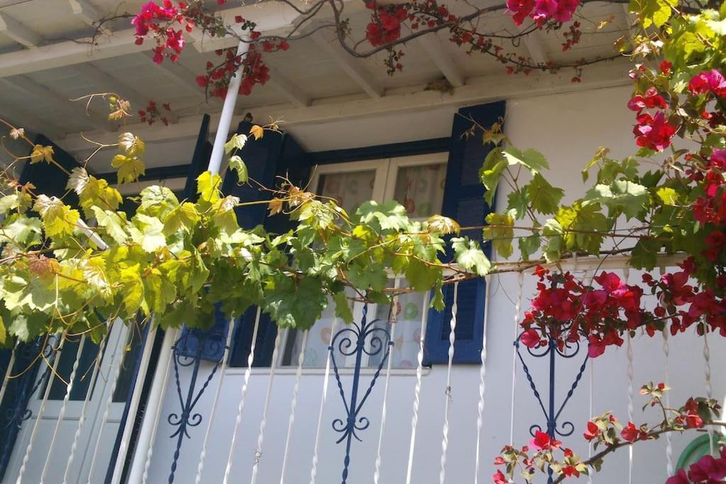 Viewtyhouse Βίλα Atheato Εξωτερικό φωτογραφία